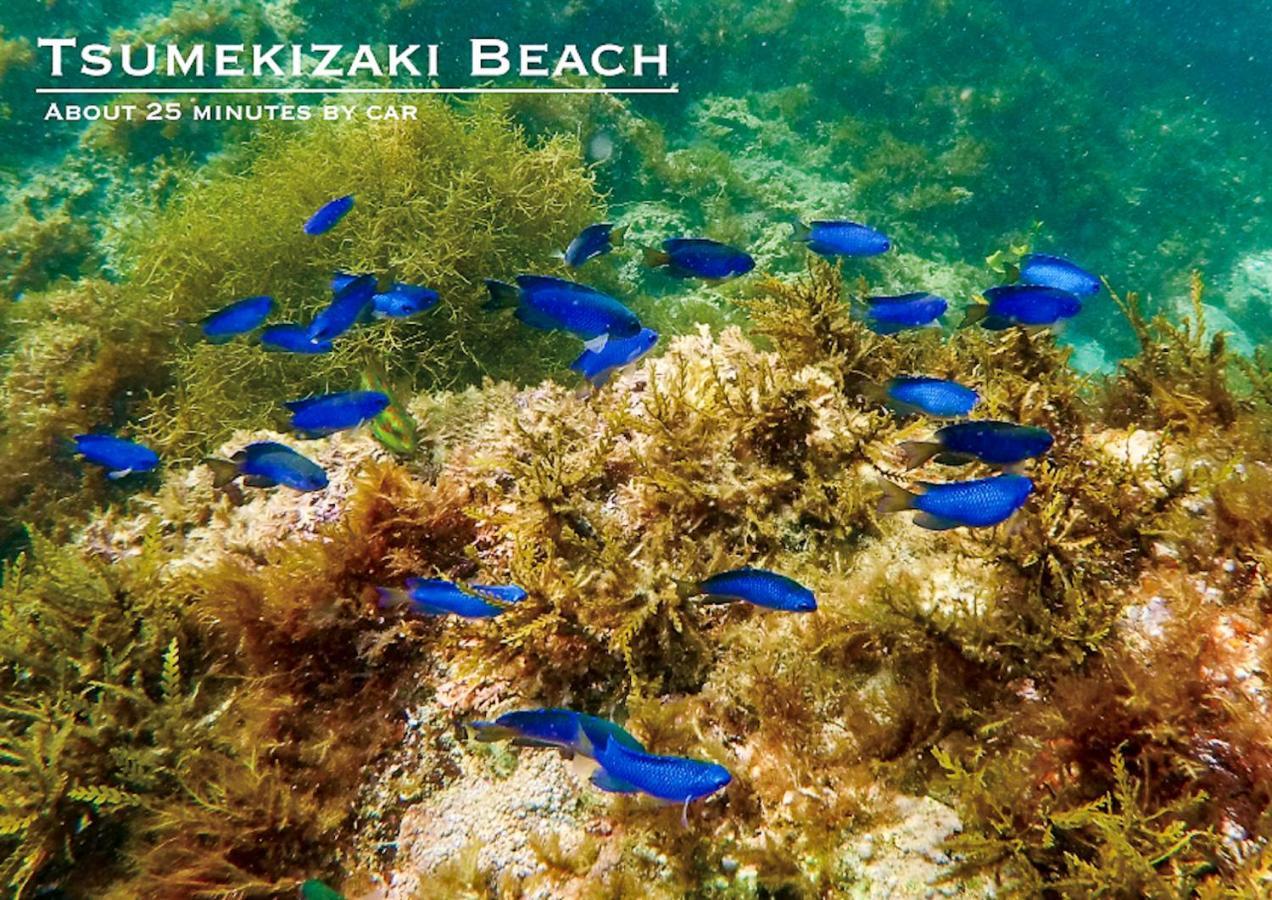 Shobuzawa Log Villa Kawazu Luaran gambar