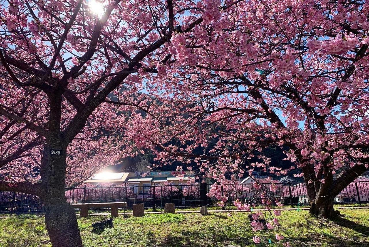 Shobuzawa Log Villa Kawazu Luaran gambar